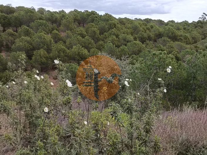 Image No.29-Terrain à vendre à Castro Marim