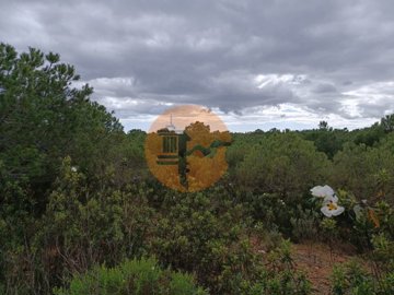 id2d956701-0000-0500-0000-000010fe1cbd