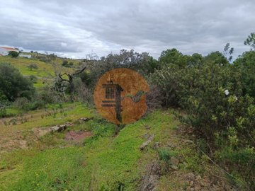 id2d956701-0000-0500-0000-000010fe1cbe