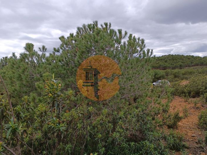 Image No.8-Terrain à vendre à Castro Marim