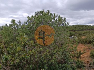 id2d956701-0000-0500-0000-000010fe1cc1