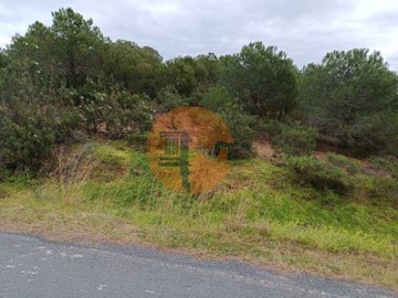 id2d956701-0000-0500-0000-000010fe1cc2