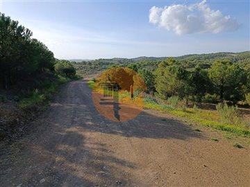 id81946701-0000-0500-0000-0000110e9231
