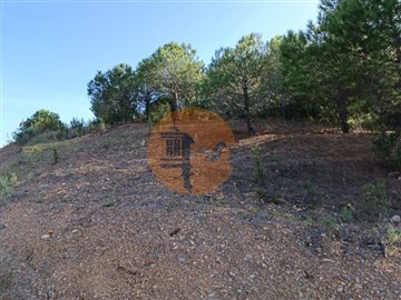 id81946701-0000-0500-0000-0000110e9235