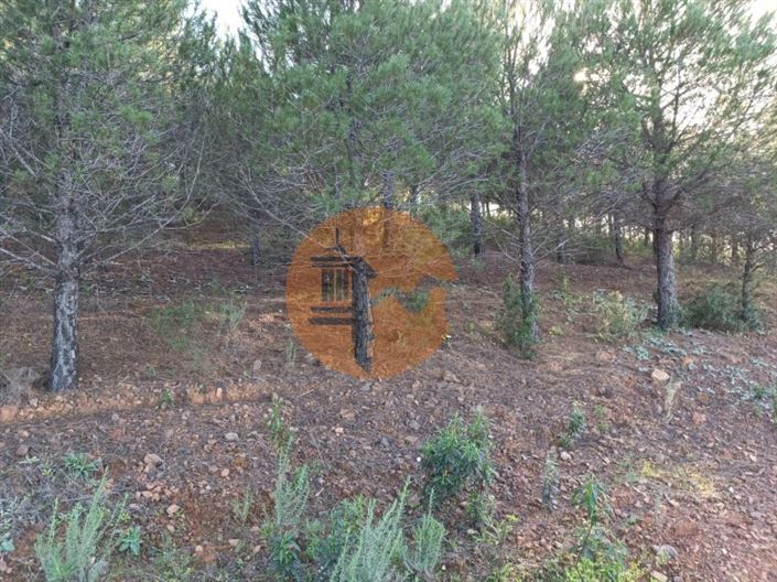 Image No.16-Terrain à vendre à Castro Marim