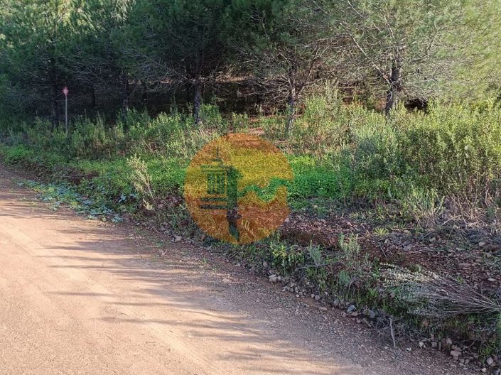 Image No.19-Terrain à vendre à Castro Marim