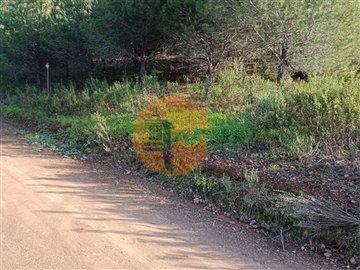 id81946701-0000-0500-0000-0000110e924f