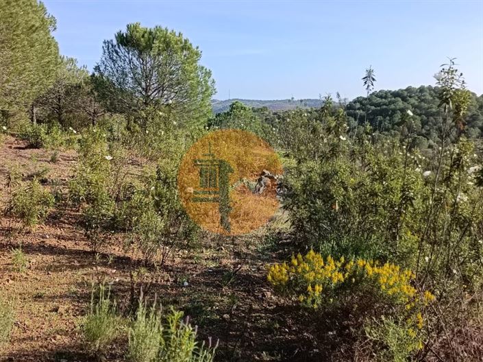 Image No.22-Terrain à vendre à Castro Marim