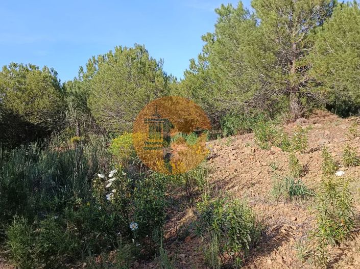 Image No.27-Terrain à vendre à Castro Marim