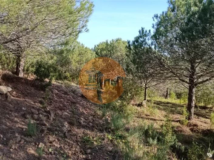 Image No.31-Terrain à vendre à Castro Marim