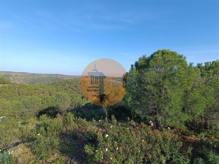 Image No.40-Terrain à vendre à Castro Marim