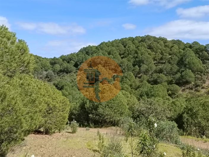 Image No.1-Plot for sale