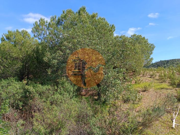 Image No.10-Terrain à vendre à Castro Marim