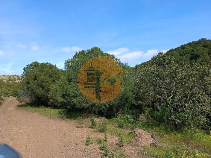 Image No.11-Terrain à vendre à Castro Marim