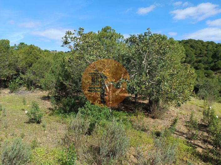 Image No.12-Terrain à vendre à Castro Marim
