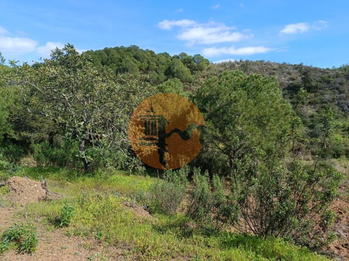 Image No.13-Terrain à vendre à Castro Marim