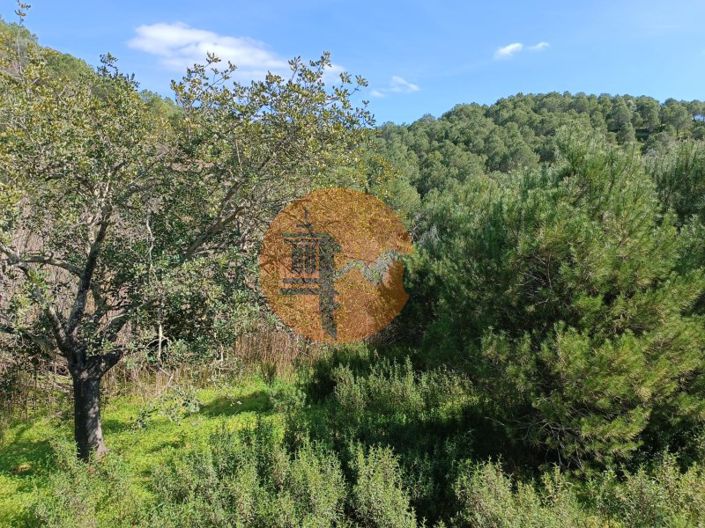 Image No.15-Terrain à vendre à Castro Marim