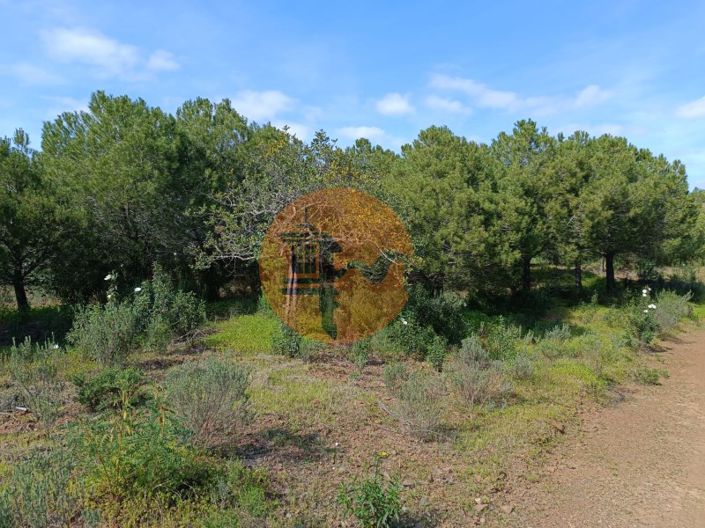 Image No.16-Terrain à vendre à Castro Marim