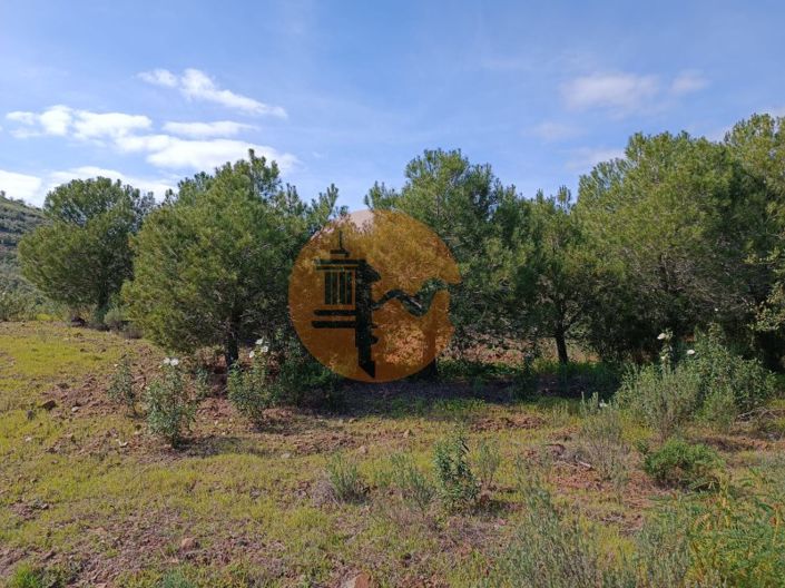 Image No.17-Terrain à vendre à Castro Marim