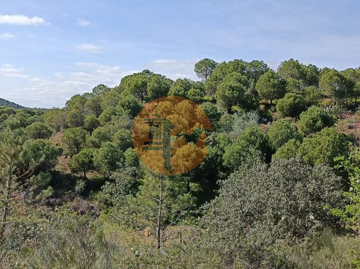 Image No.18-Terrain à vendre à Castro Marim