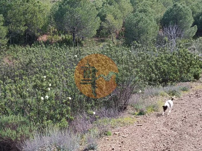 Image No.20-Terrain à vendre à Castro Marim