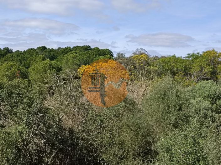 Image No.21-Terrain à vendre à Castro Marim