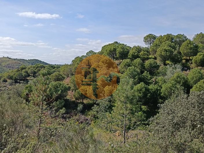 Image No.28-Terrain à vendre à Castro Marim