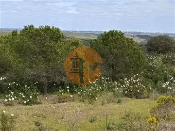 id20926701-0000-0500-0000-0000110f0209