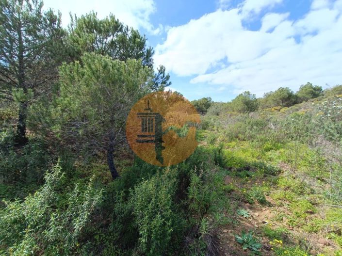 Image No.13-Plot for sale