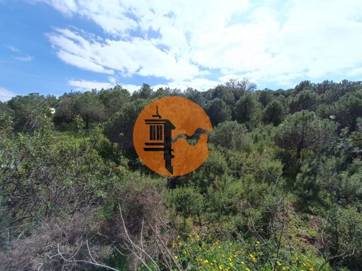 Image No.14-Plot for sale