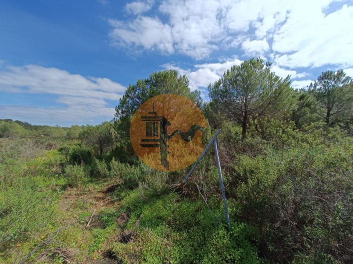 Image No.17-Plot for sale