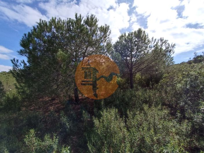 Image No.18-Plot for sale