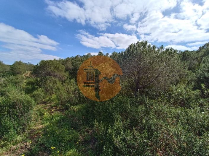 Image No.20-Plot for sale