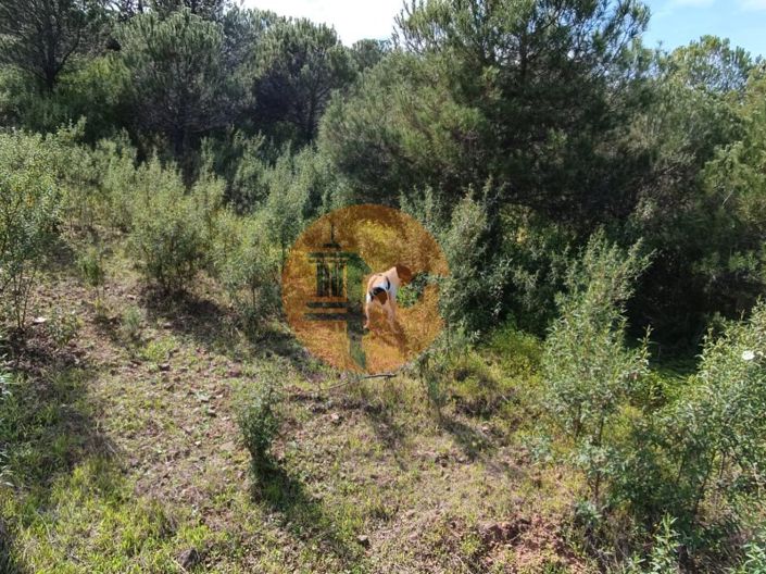 Image No.21-Plot for sale