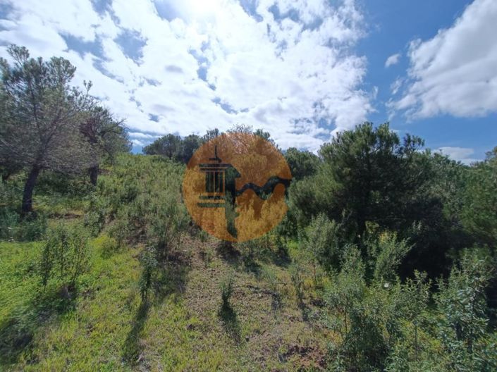 Image No.23-Plot for sale