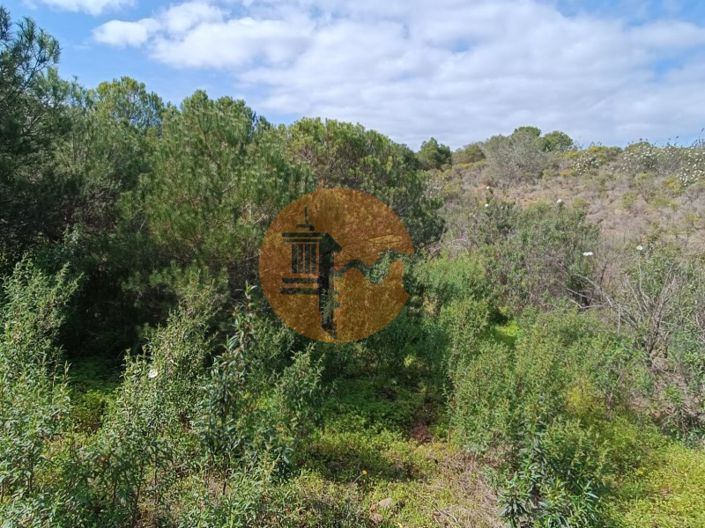 Image No.24-Plot for sale