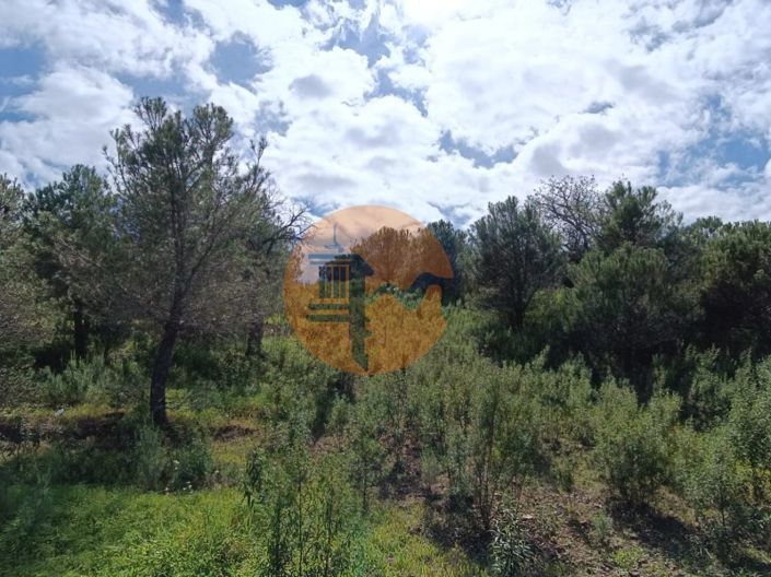 Image No.25-Plot for sale