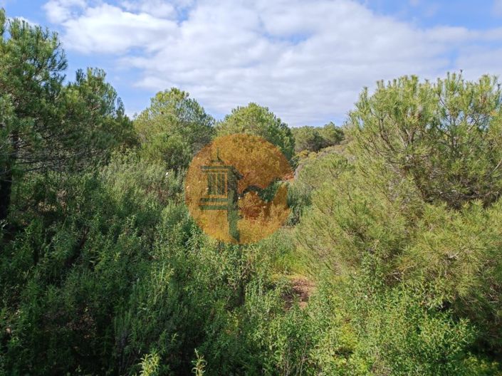 Image No.26-Plot for sale