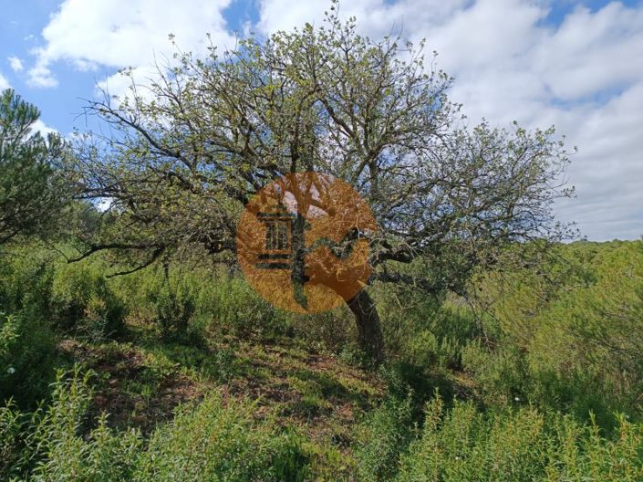 Image No.30-Plot for sale