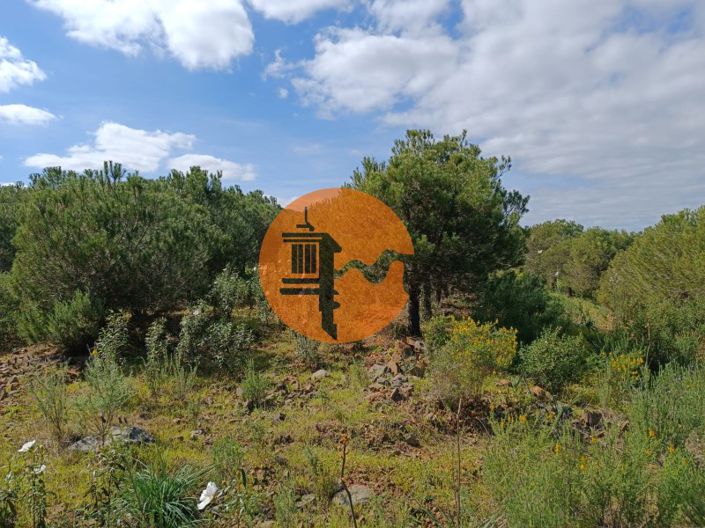 Image No.31-Plot for sale