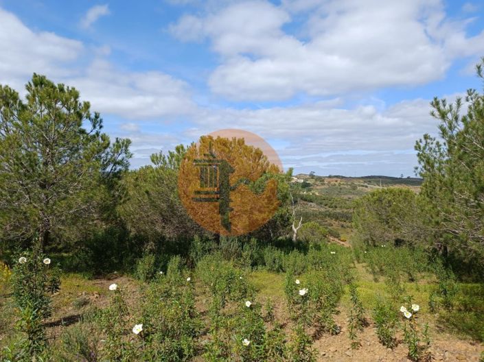 Image No.32-Plot for sale