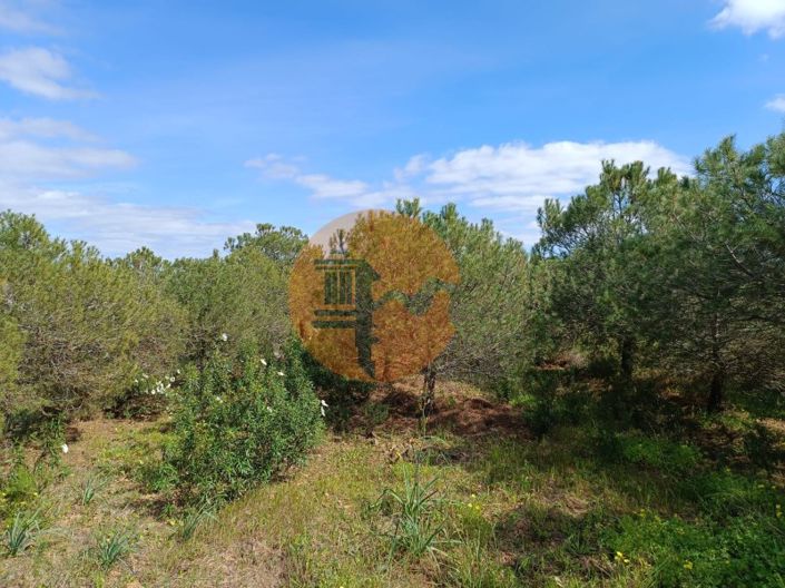 Image No.35-Plot for sale