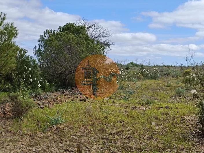 Image No.5-Plot for sale