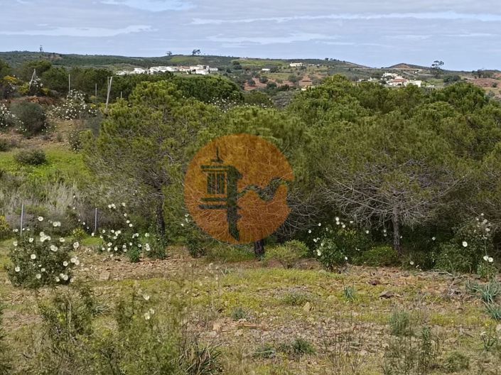 Image No.6-Plot for sale