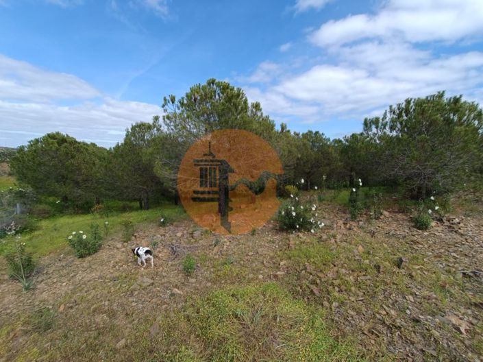 Image No.7-Plot for sale