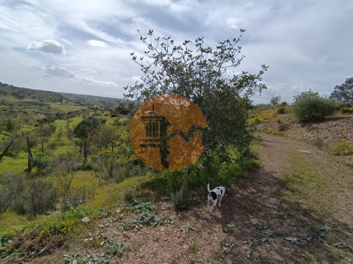 Image No.23-Plot for sale