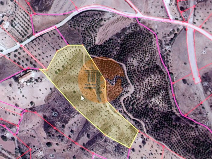 Image No.27-Plot for sale