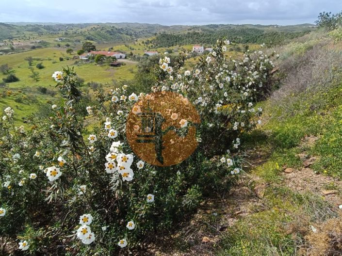 Image No.4-Plot for sale