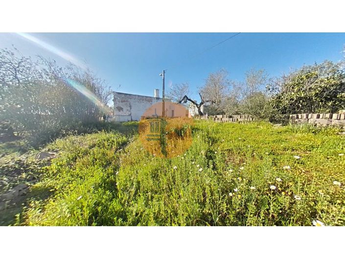 Image No.26-Plot for sale