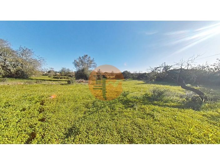 Image No.29-Plot for sale